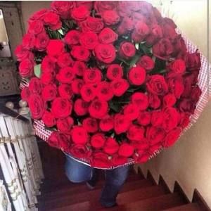 Meet your Posher, Mona